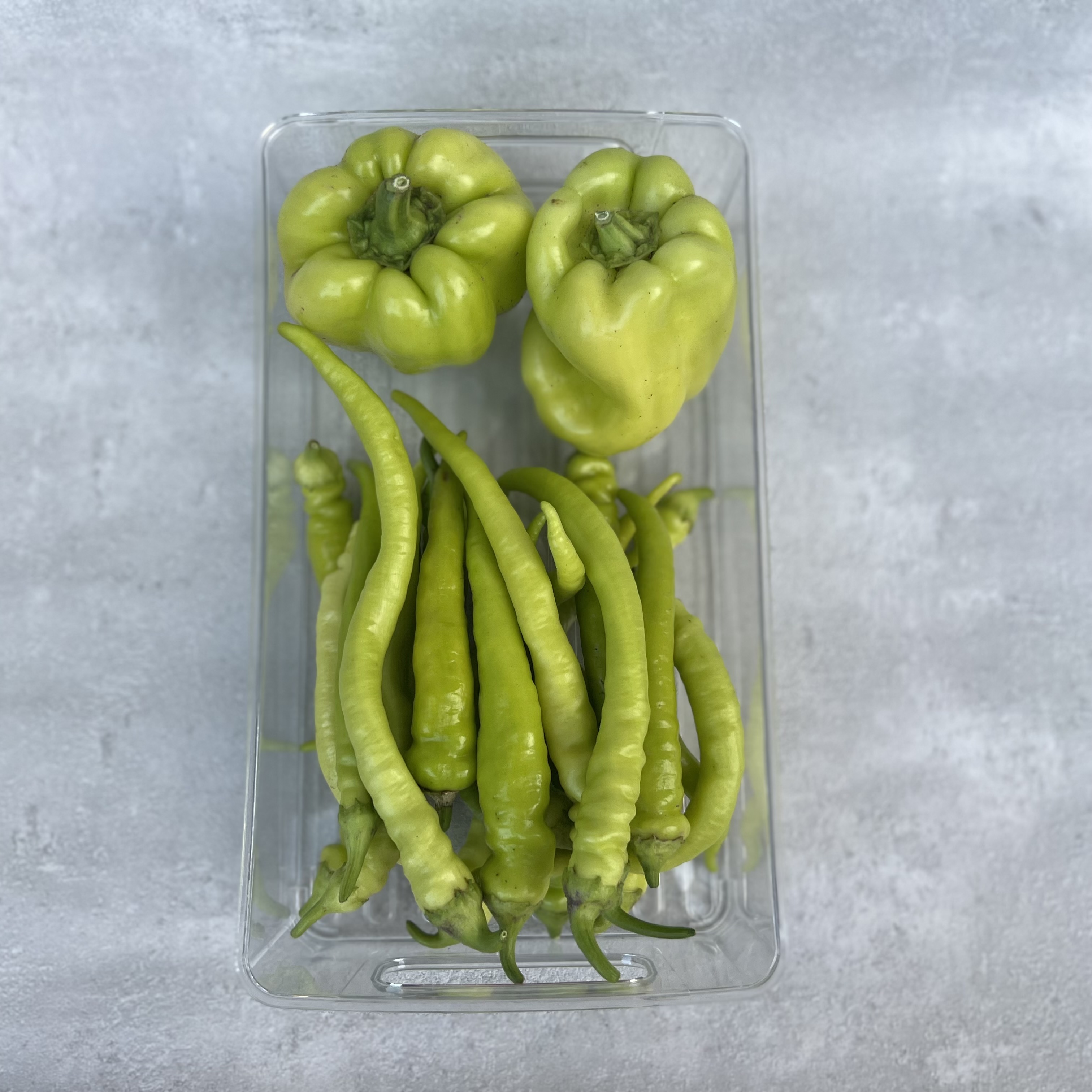 Úložný box průhledný vel.M