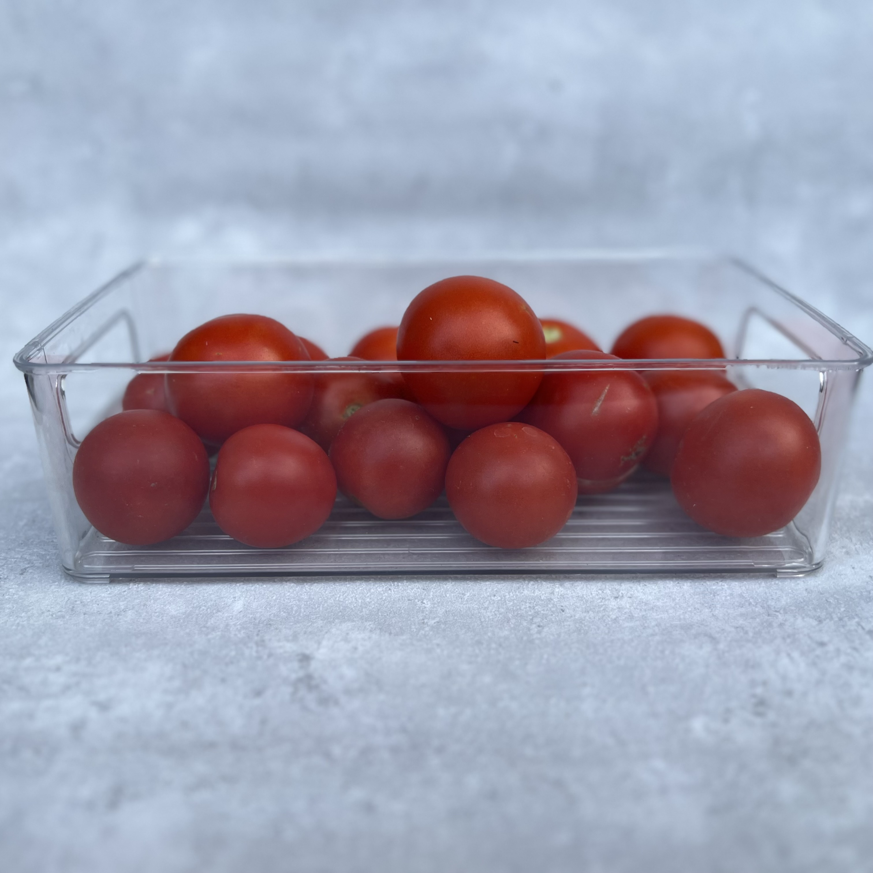 Úložný box průhledný vel.M