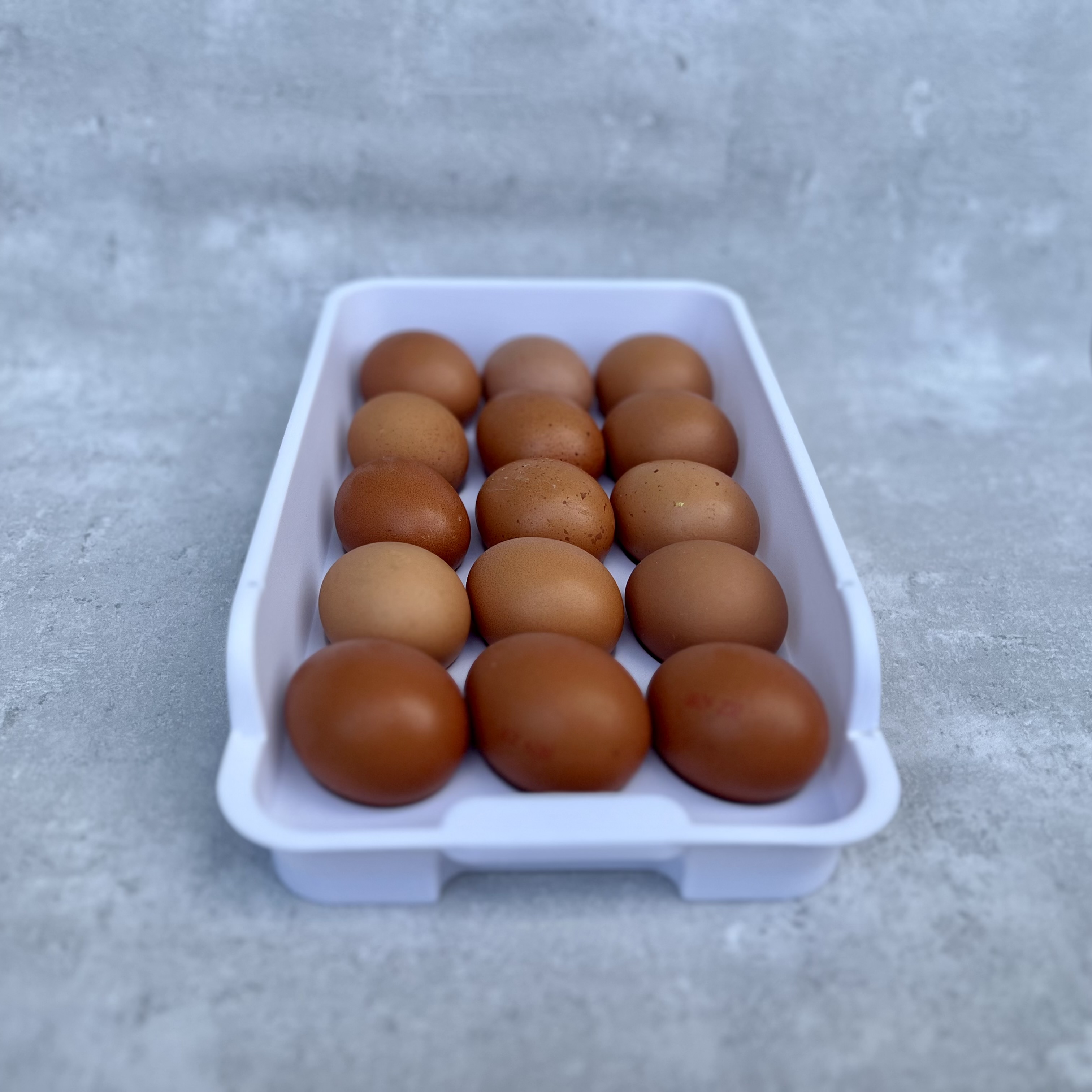 Úložný box na vajíčka