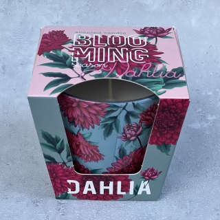 Svíčka vonná ve skle